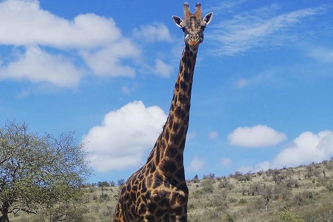 Best 3 days Tanzania shared Safari Tarangire Ngorororo Manyara - Day three: Lake Manyara before the return to Arusha