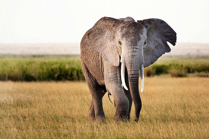 Best 5 Days Tanzania Private Luxury Safari with luxury Lodges - The biggest issue: Lake Natron and Ol’doinyo Lengai