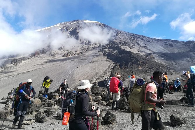 Best Kilimanjaro Adventure 7 days Machame route Trekking - Day two: Rocky ground toward Shira Camp