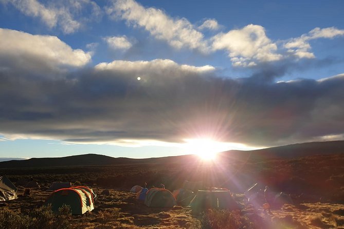 Best Kilimanjaro Adventure 7 days Machame route Trekking - Day three: Lava Tower and Barranco Camp