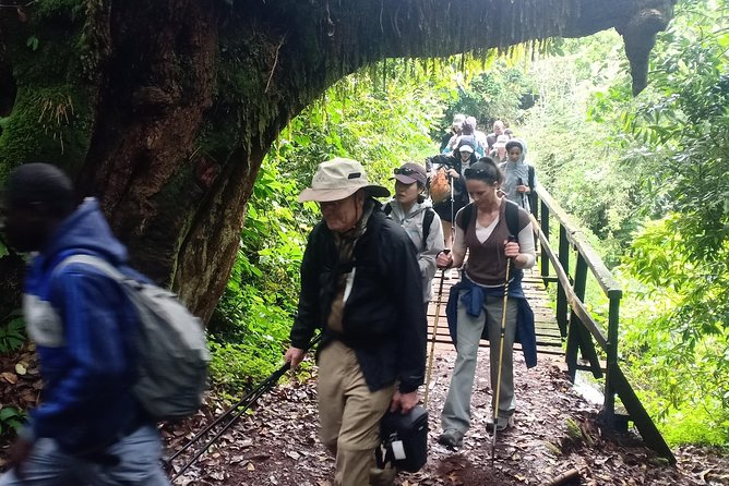 Best Kilimanjaro Adventures 6 Days Marangu Route Experience - Key points at a glance