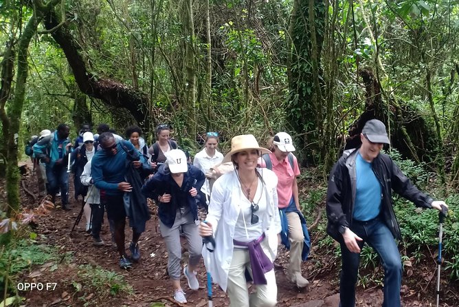Best Kilimanjaro Adventures 6 Days Marangu Route Experience - Day three: The Mawenzi Hut acclimatization walk