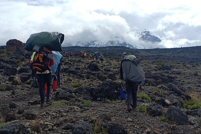 Best Kilimanjaro Adventures 6 Days Marangu Route Experience - Day four: Horombo to Kibo Hut across the Saddle