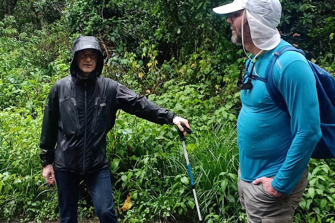 Best Kilimanjaro Adventures 6 Days Marangu Route Experience - Day five: The midnight climb to Uhuru Peak