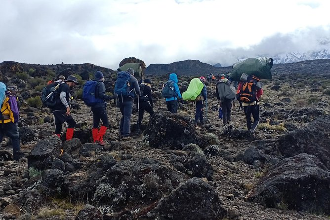 Best Kilimanjaro Adventures 6 Days Marangu Route Experience - Day six: A final forest descent to Marangu Gate