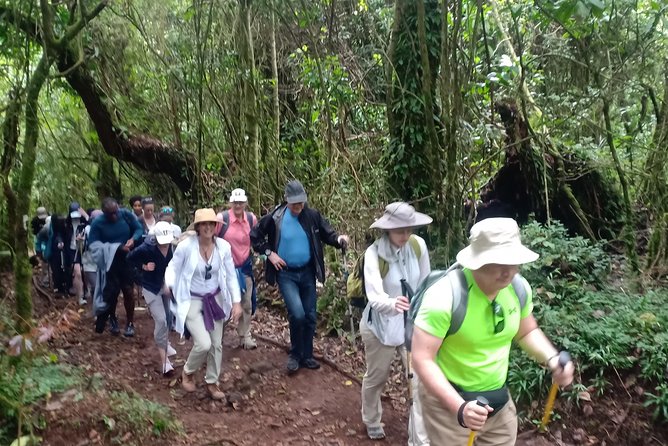 Best Kilimanjaro Adventures 6 Days Marangu Route Experience - Huts, meals, water, and the porter team