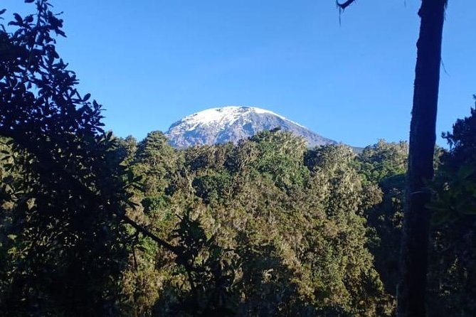 Best Kilimanjaro hiking day trip tour with Kilinge Adventures - Leaving Moshi at 7:30 in the morning