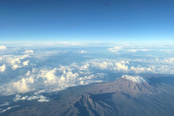 Best Kilimanjaro hiking day trip tour with Kilinge Adventures - Through the rainforest to Mandara Hut