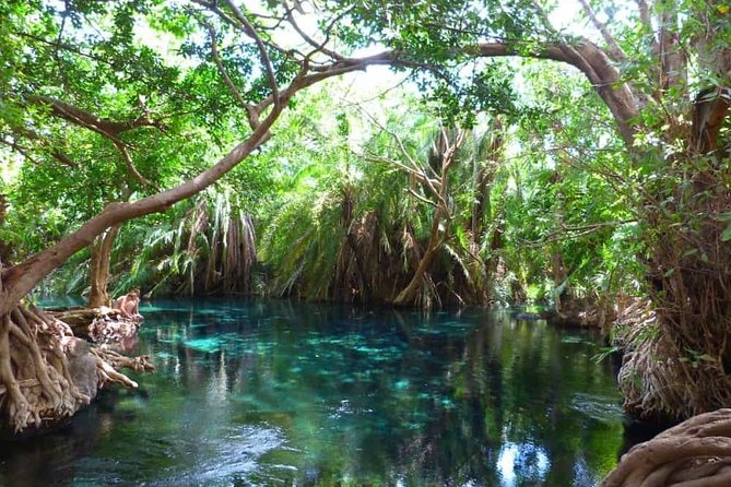 Best Materuni waterfall and chemka hotspring day Tour Experience - Two northern Tanzania stops in one day