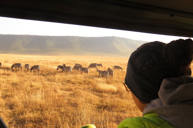 Best Of Six Days Safari Camping safari - Why the wildebeest calving season changes the safari