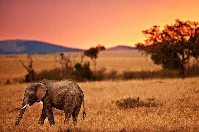 Best Of Six Days Safari Camping safari - What the $1,190 price really covers