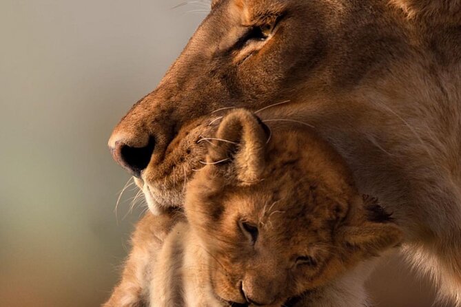 Best Of Six Days Safari Camping safari - Guides, communication, and the human side of the trip