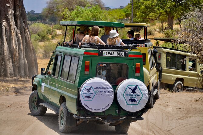 Best Safari and Zanzibar 10-Days Excursions - What this Tanzania and Zanzibar trip is really offering