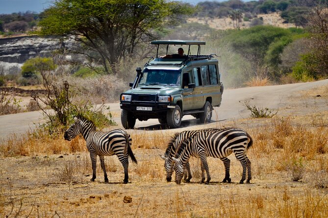 Best Safari and Zanzibar 10-Days Excursions - Zanzibar is the recovery time
