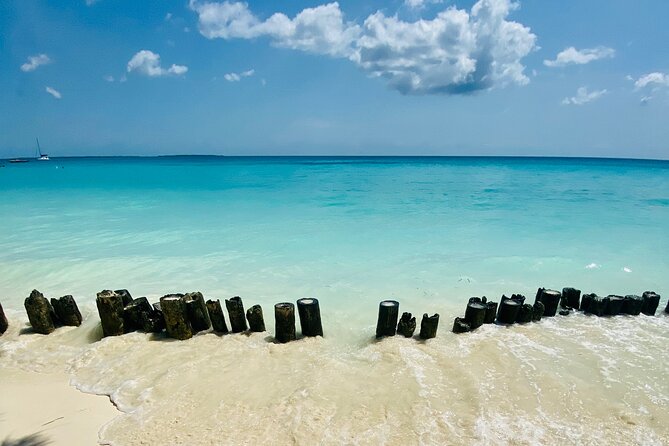 Best Safari and Zanzibar 10-Days Excursions - Meals and accommodation deserve a written check