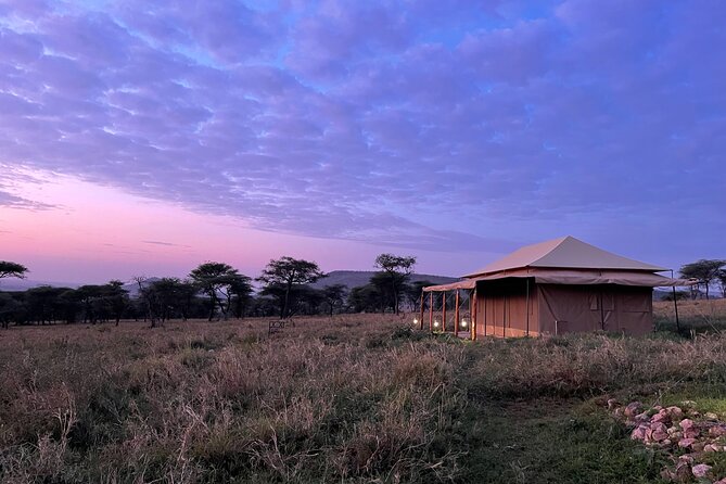 Big Five Dream Safari - A six-day route through Tanzania’s best-known parks