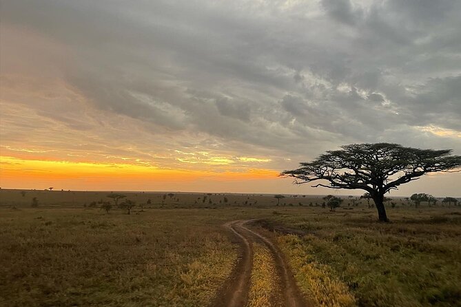 Big Five Dream Safari - What the $2,500 price means