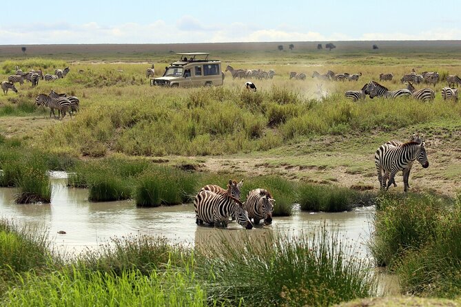 Big Five Luxury 7 Days Safari Tour in Arusha - What this seven-day safari is really like