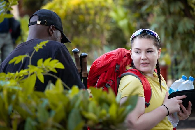 Big Five Luxury 7 Days Safari Tour in Arusha - Day 1: Arriving in Arusha without fuss