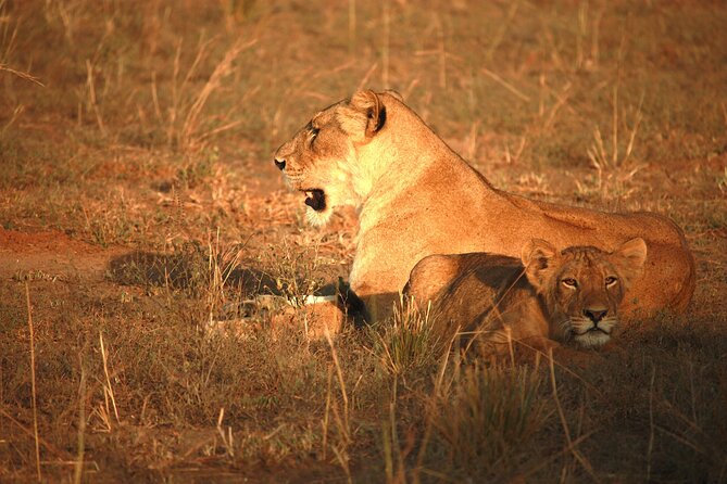 Big Five Luxury Safari in Tanzania - Day 6: Lake Manyara’s forest and Rift Valley views