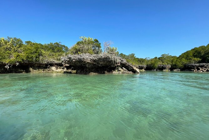 Blue Safari Tour - Key points to know before booking