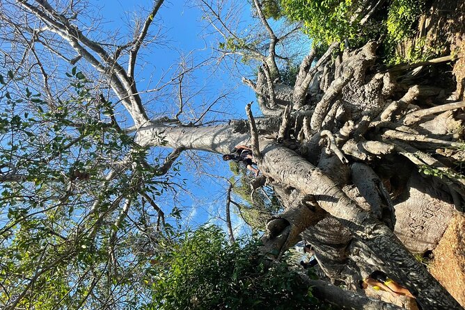 Blue Safari Tour - The boat ride to Zanzibar’s sandbank