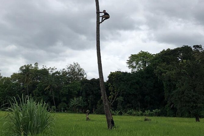 Book Day Hike at Rau Forest Reserve, Near Moshi Town in Tanzania - Extending the walk to the rice farms