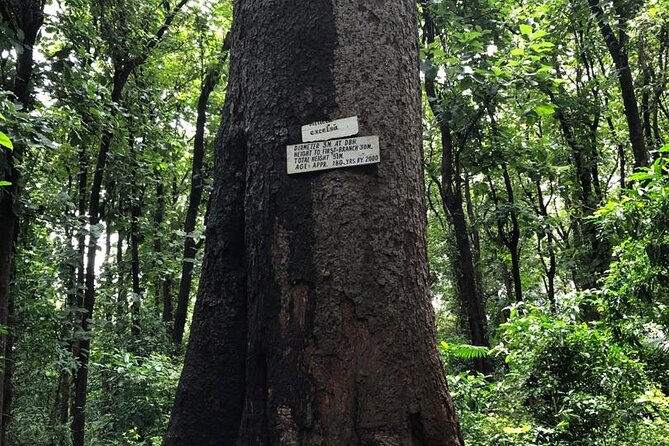 Book Day Hike at Rau Forest Reserve, Near Moshi Town in Tanzania - What the $39.47 price delivers