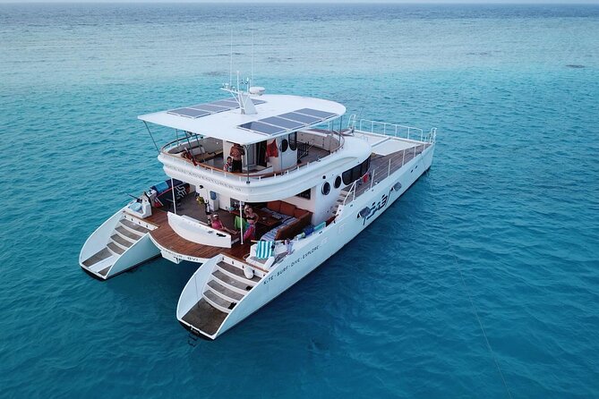 Catamaran Sunset Cruise in Stone Town - Snorkeling gear and what the itinerary does not promise