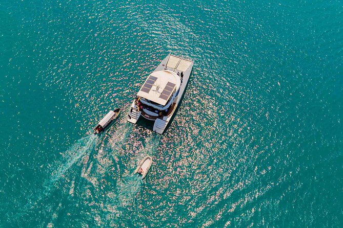 Catamaran Sunset Cruise in Stone Town - Who will get the most from this cruise