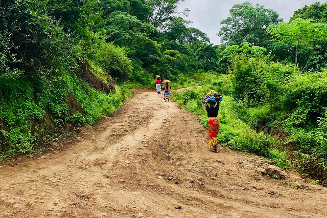 Chagga Villages in Mount Kilimanjaro Cycling Day Trip - Why this ride shows you more than Kilimanjaro
