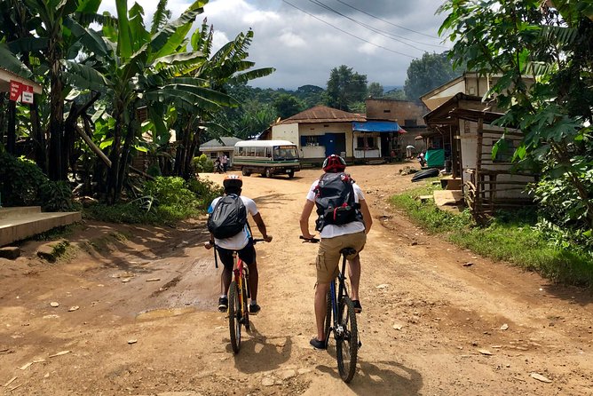 Chagga Villages in Mount Kilimanjaro Cycling Day Trip - What the private format really adds