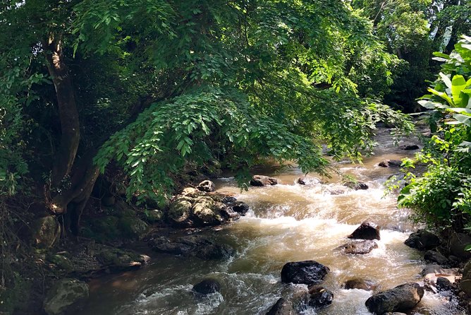 Chagga Villages in Mount Kilimanjaro Cycling Day Trip - Is $101.54 a fair price?