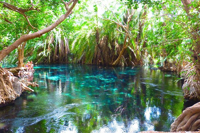 Chemka Hot Springs Tour from Moshi - Why Chemka Hot Springs makes a good half-day trip