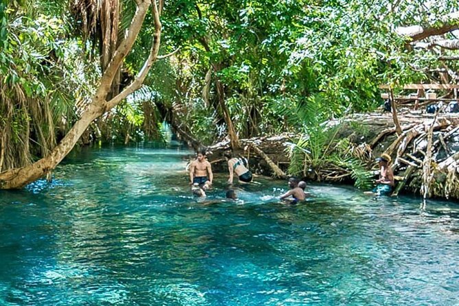 Chemka Hot Springs Tour from Moshi - Four hours to swim, rest, and eat