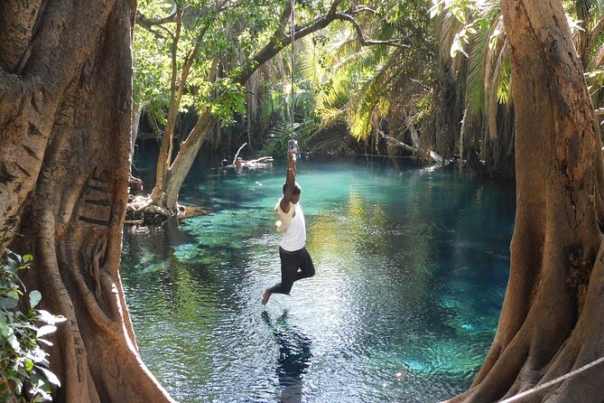 Chemka (Kikuletwa) Hot Springs, Tanzania - Swimming time beneath the fig trees