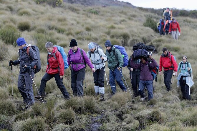 Climb Kilimanjaro, 7 Days Machame Route Hiking - Day 1: Rain, forest, and the approach to Machame Camp