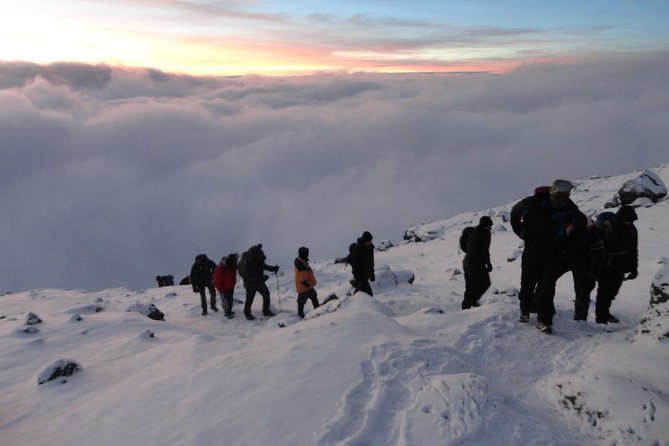 Climb Kilimanjaro 8-Day Lemosho Route with Stunning Scenic Views - Day 5: The Barranco Wall and Karanga Camp