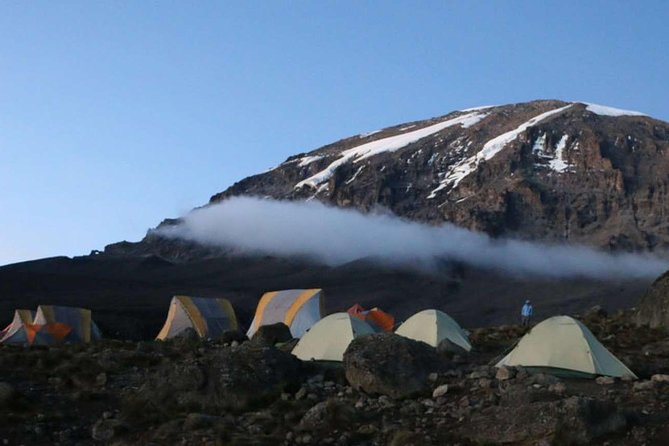 Climb Kilimanjaro 8-Day Lemosho Route with Stunning Scenic Views - Day 2: Rainforest to Shira Camp One