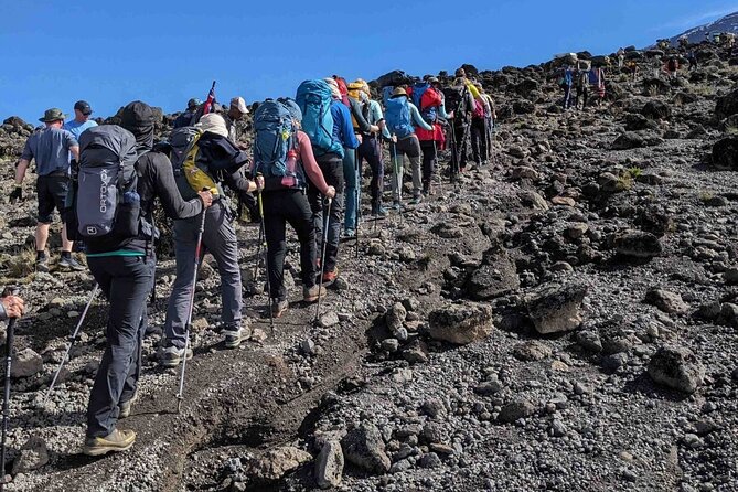 Climb Kilimanjaro in 8 Days via Lemosho Route - Day 3: A shorter walk across the Shira Plateau