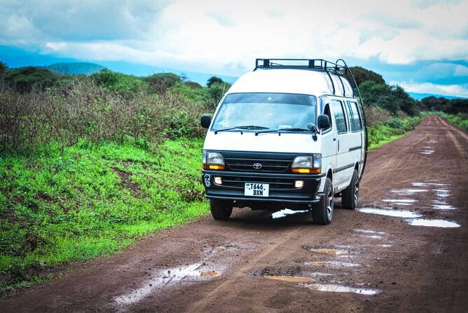 Climb Kilimanjaro in 8 Days via Lemosho Route - Day 5: Climbing the Barranco Wall to Karanga