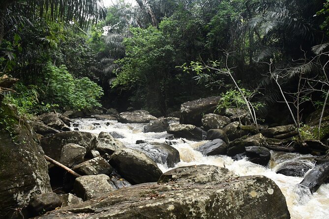 Climb Kilimanjaro - Lemosho Route 7 Day Climb - Why Lemosho is a good way up Kilimanjaro
