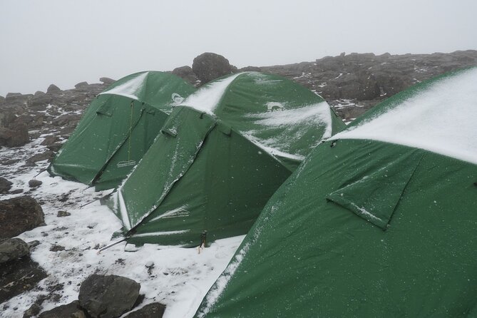 Climb Kilimanjaro - Lemosho Route 7 Day Climb - Day 4: Shira Camp to Shira Camp 2