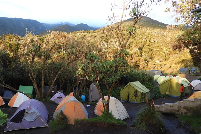 Climb Kilimanjaro - Lemosho Route 7 Day Climb - Day 7: Stella Point, Uhuru Peak, and the long descent