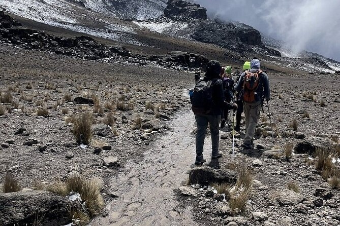 Climb Kilimanjaro Machame Route 7 Days - Day 2: Machame Camp to Shira Camp