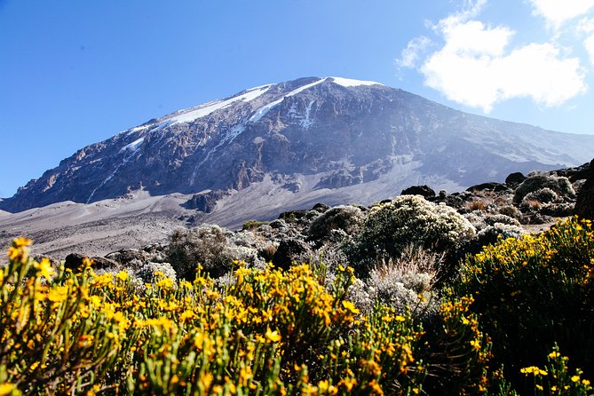 Climb Kilimanjaro - Marangu Route 8 Day Program - Day 1: A practical start in Moshi