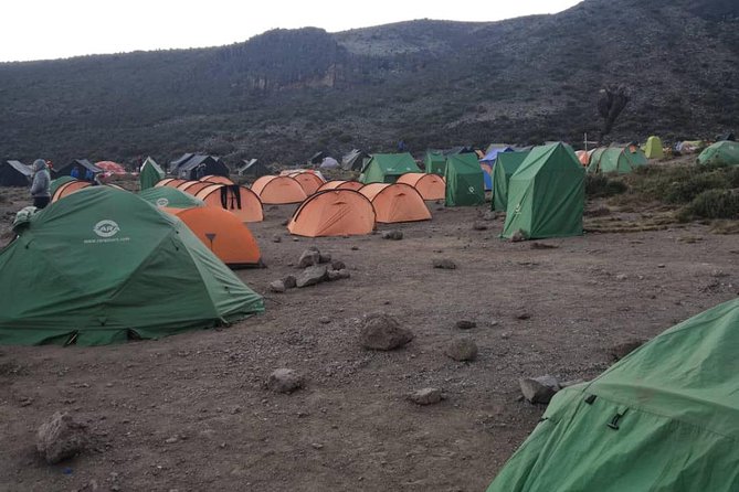 Climbing Kilimanjaro - Machame Route - Day 2: Machame Camp to the Shira Plateau