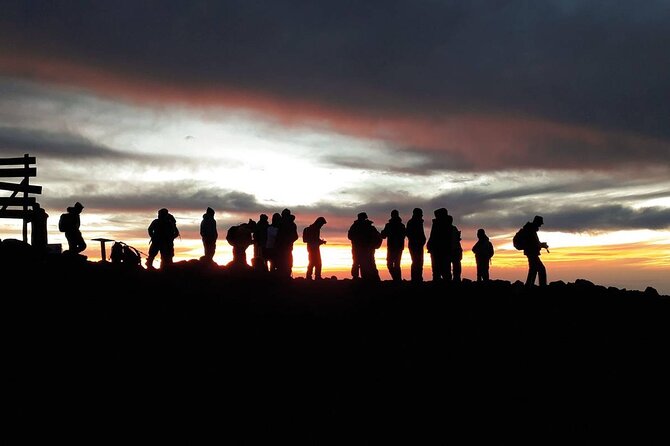 Climbing Kilimanjaro - Machame Route - Day 3: Shira to Lava Tower and Barranco