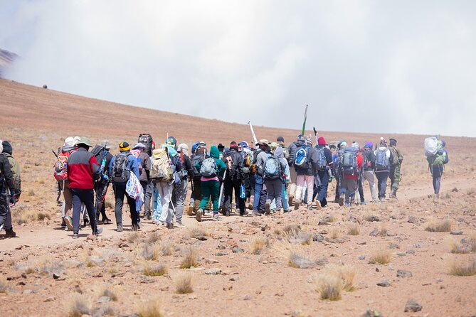 Climbing Kilimanjaro - Marangu Route - Day 2: Mandara Huts to Horombo Huts