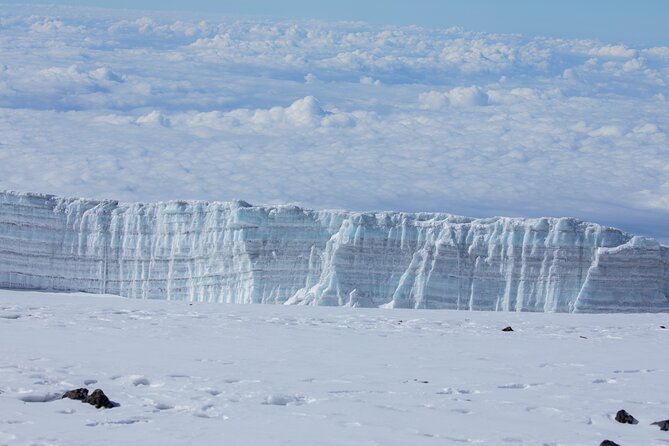Climbing Kilimanjaro - Marangu Route - Day 5: Descending through moorland and rainforest